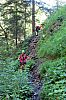 IMG_3487.JPG